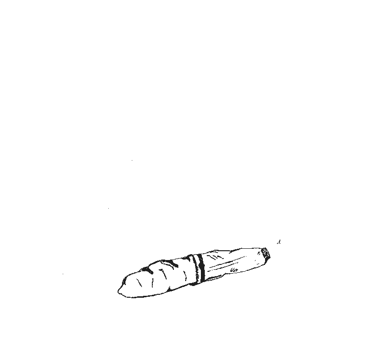 Logo transparant achtergrond